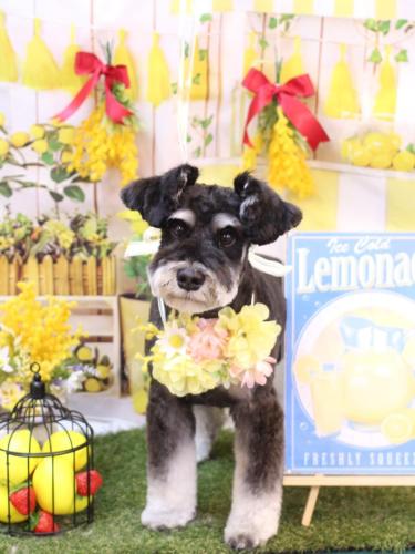 20240429ジジくん